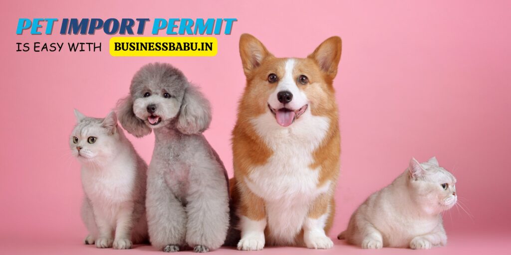 pet import permit in india